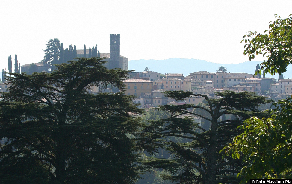 Duomo di Barga - Centro Storico - Vista da I Cedri 